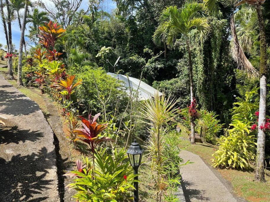 Jardin Secret Villa Petit-Bourg Exterior photo